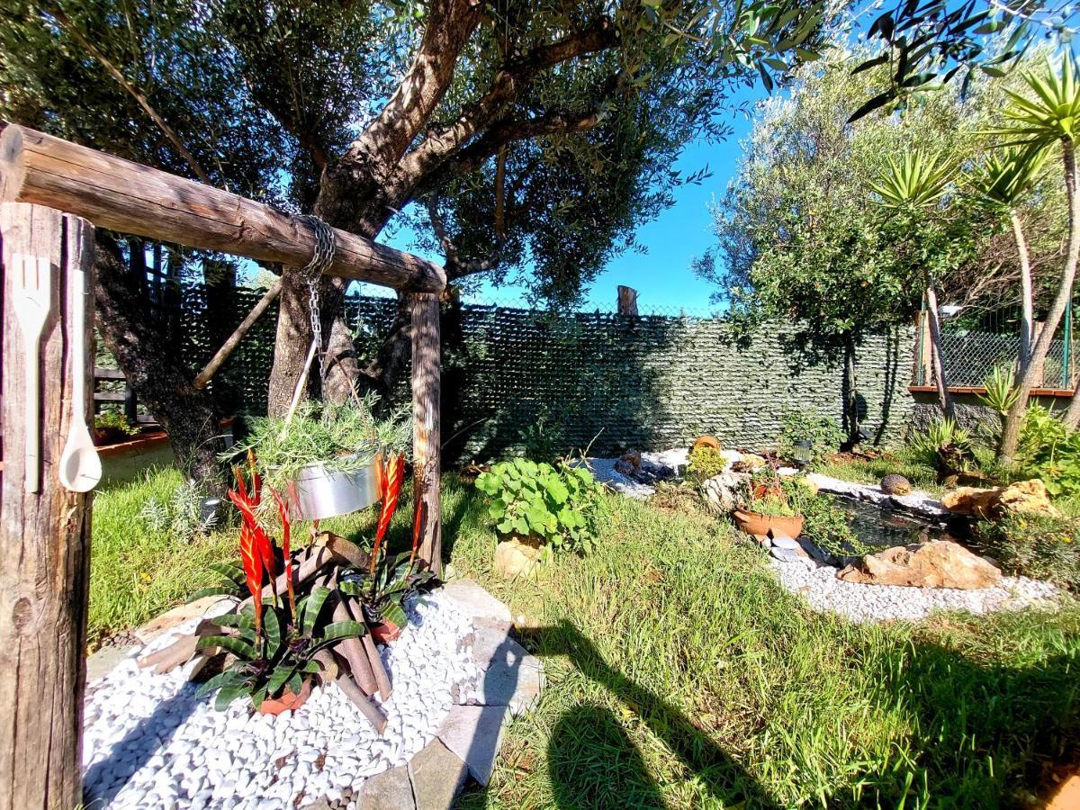 Parco Esmeralda - Family Residence E Breakfast Marina di Camerota Exteriör bild