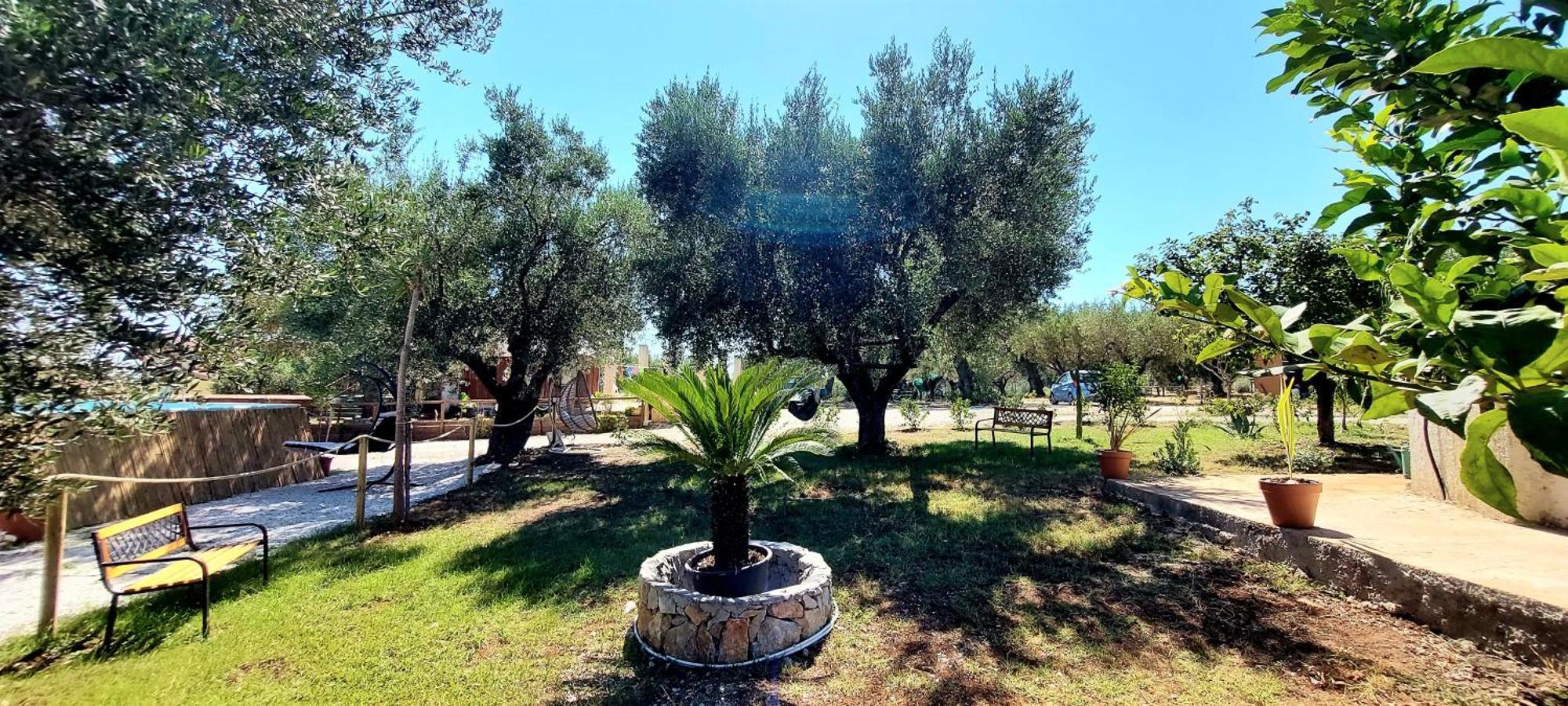 Parco Esmeralda - Family Residence E Breakfast Marina di Camerota Exteriör bild